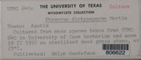 Image Associated With the Occurence